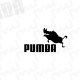 PUMBA