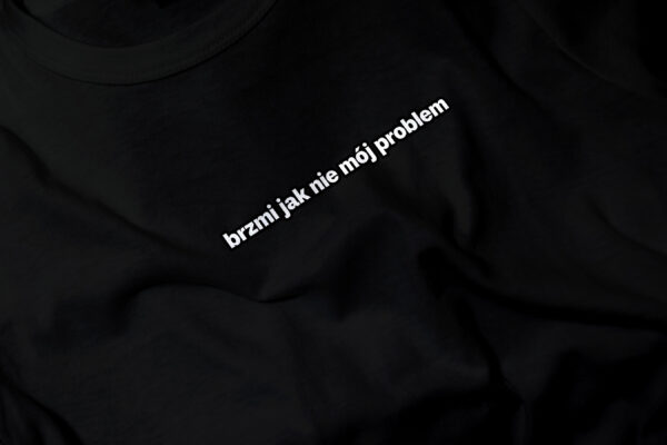 KOSZULKA MĘSKA DAMSKA BRZMI JAK NIE MÓJ PROBLEM MAŁY NAPIS